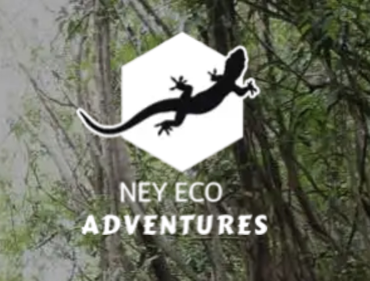 Guia da Ney Eco Adventures conduzindo passeio na Amazônia